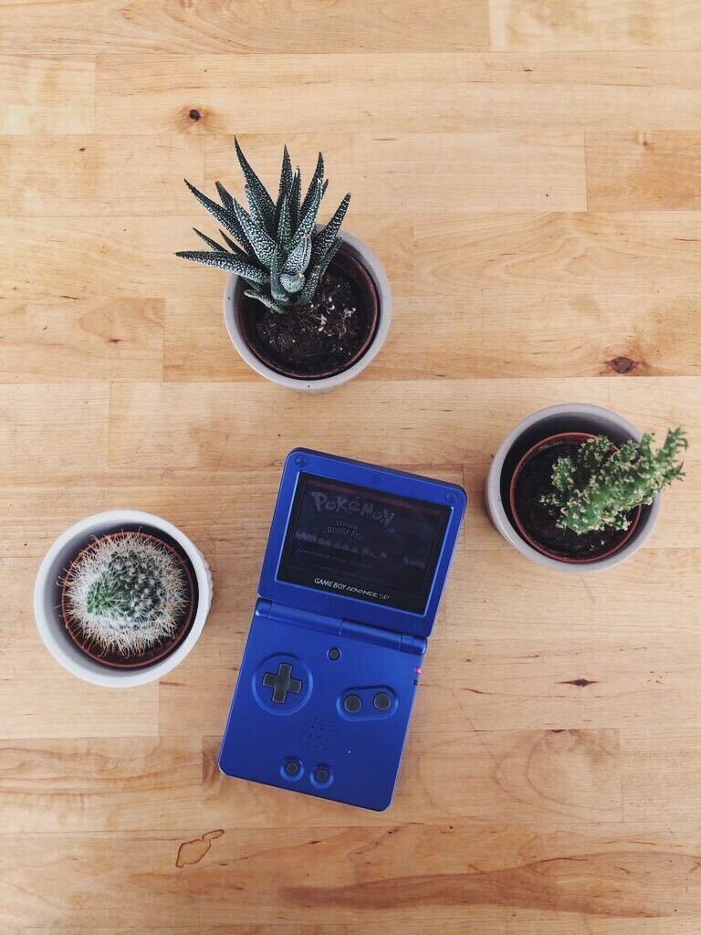 Image from iOS (10) (1).jpg